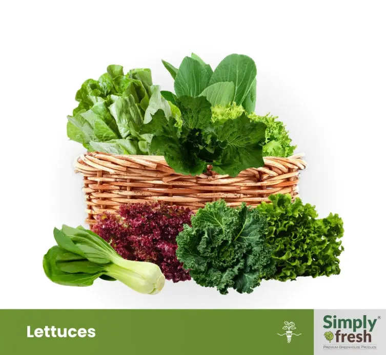 Simply Fresh Lettuce Collection