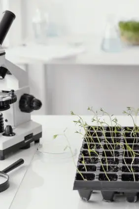 Simply Fresh Innovation