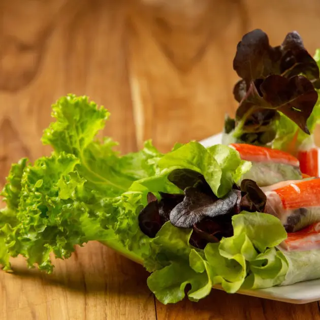 Simply Fresh Green Coral Lettuce