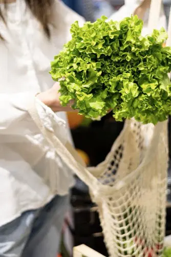 Simply Fresh Community